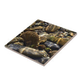 Natur Inspirationen Sonnenschaum unter Wasser Stei Fliese (Seite)