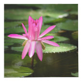 Natur Inspiriert 4" Foto Cube Würfel (Rechts)