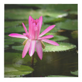 Natur Inspiriert 4" Foto Cube Würfel (Rechts)