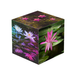 Natur Inspiriert 4" Foto Cube Würfel