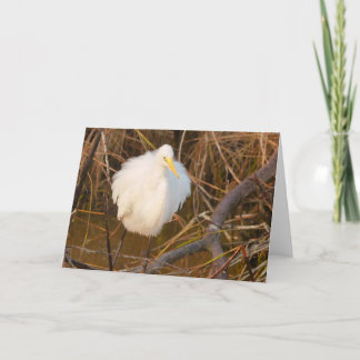 Natur inspiriert Jeder Anlass-Karte Snowy Egret Dankeskarte