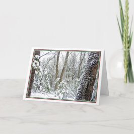 ***Natur: Jede Jahreszeit leben: Waldenteich Feiertagskarte