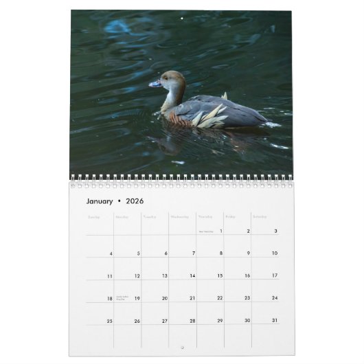 Natur Kalender (Jan 2026)