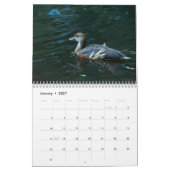 Natur Kalender (Jan 2027)