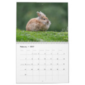 Natur Kalender (Feb 2027)