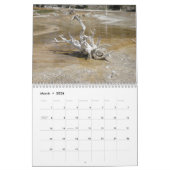 Natur-Kalender 2010 Kalender (Mär 2026)