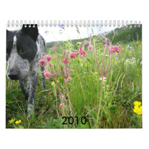 Natur-Kalender 2010 Kalender