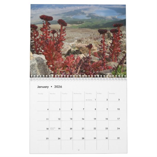 Natur-Kalender 2010 Kalender (Jan 2026)