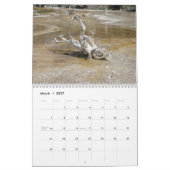 Natur-Kalender 2010 Kalender (Mär 2027)