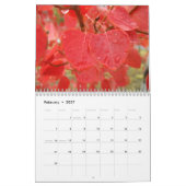 Natur-Kalender 2010 Kalender (Feb 2027)