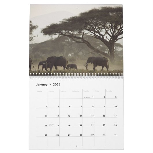 Natur-Kalender 2012 Kalender (Jan 2026)