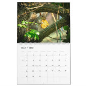 Natur-Kalender 2014 Kalender (Mär 2026)