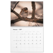 Natur-Kalender 2014 Kalender (Feb 2027)