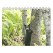 Natur-Kalender 2016 Kalender (Titelbild)