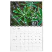 Natur-Kalender 2017 Kalender (Mär 2027)