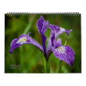 Natur-Kalender 2017 Kalender (Titelbild)