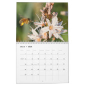 Natur-Kalender 2018 Kalender (Mär 2026)