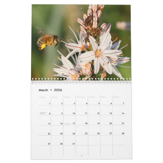 Natur-Kalender 2018 Kalender (Mär 2026)