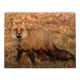 Natur-Kalender 2018 Kalender