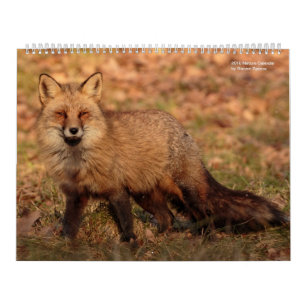Natur-Kalender 2018 Kalender