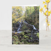 Natur Karte (Gelbe Blume)