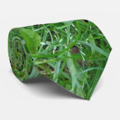 Natur-Krawatte Krawatte (Gerollt)