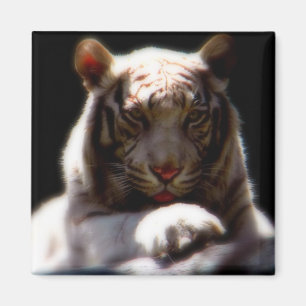 Natur Kunst Kühlschrankmagnet