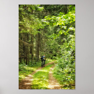 Natur Landschaft Szene Wald Bäume Belarus Poster