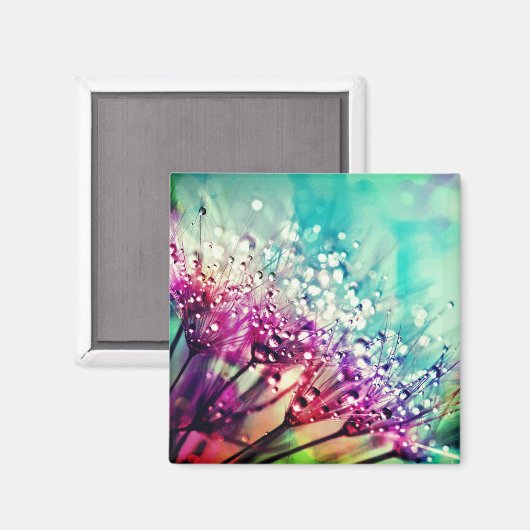 Natur Magnet (Vorderseite/Rückseite)