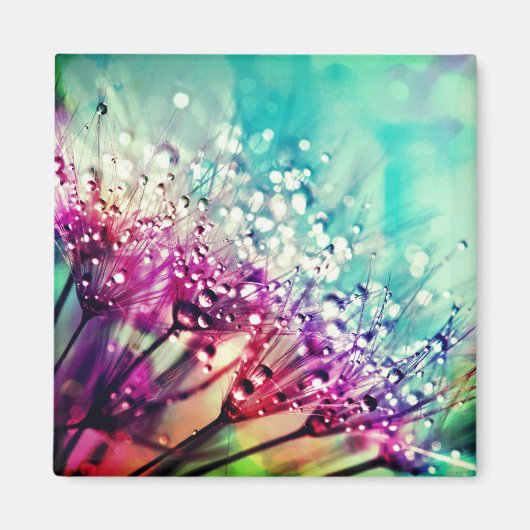 Natur Magnet (Vorne)