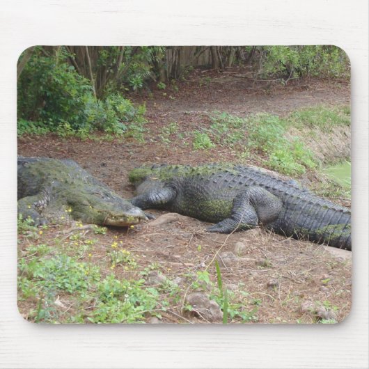 NATUR MOUSEPAD (Vorne)