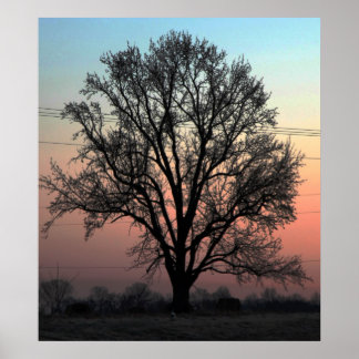 Natur oder Pflege? Poster