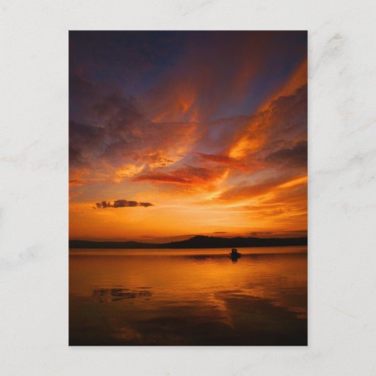 Natur-Paletten-Postkarte Postkarte (Vorderseite)