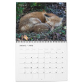 Natur. Pflanzen und Landschaft durch Daves Garten Kalender (Jan 2026)