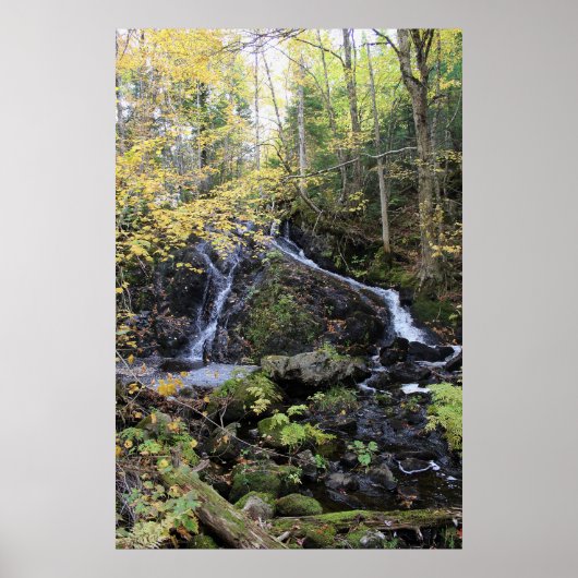 Natur Poster (Vorne)