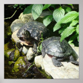 NATUR POSTER (Vorne)