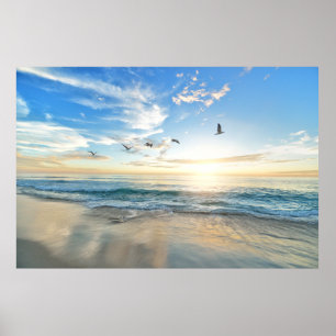 Natur Poster