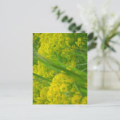 Natur Postkarte (Stehend Vorderseite)