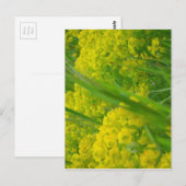 Natur Postkarte (Vorne/Hinten)