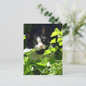 Natur Postkarte (Stehend Vorderseite)