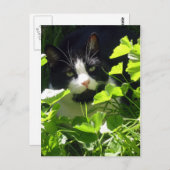 Natur Postkarte (Vorne/Hinten)