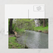 Natur-Postkarte Postkarte (Vorne/Hinten)