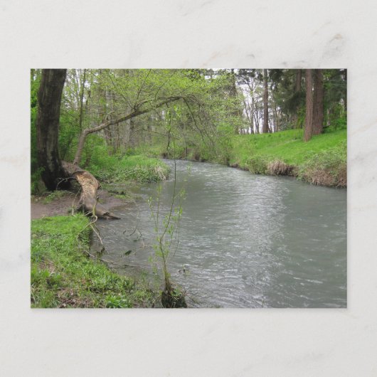 Natur-Postkarte Postkarte (Vorderseite)