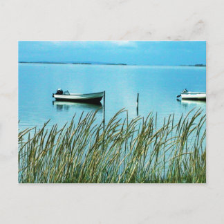 Natur pur auf dem Foto von Samsø Postkarte