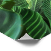 Natur pur poster (Ecke)