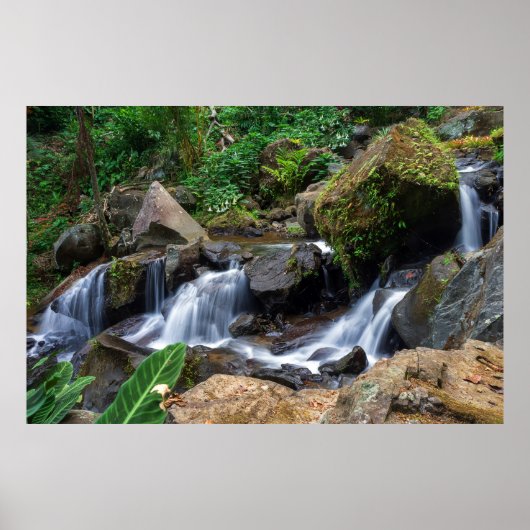 Natur pur poster (Vorne)