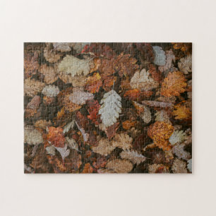 Natur-Puzzle Herbst-Puzzle Extremes Puzzle