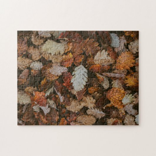 Natur-Puzzle Herbst-Puzzle Extremes Puzzle (Horizontal)