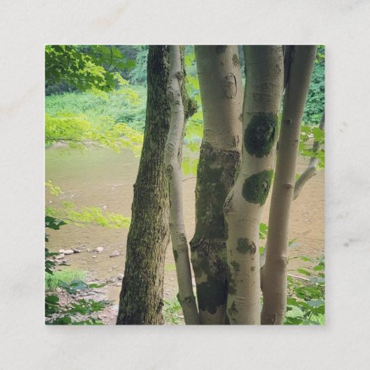 Natur Quadratische Visitenkarte (Rückseite)