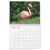 Natur-Reise-Kalender Kalender (Feb 2027)